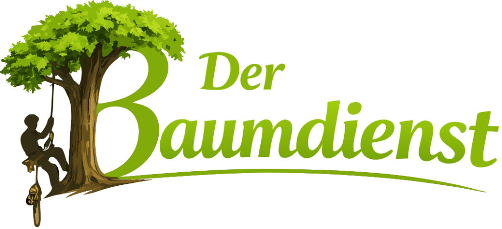 Der Baumdienst Kai Hilmer